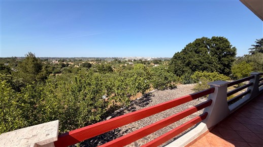 Villa Panoramica In Buone Condizioni Con Trullo Comunicante.